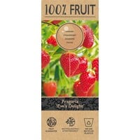 Fragaria Eve's Delight aardbeienplant | 50 cm hoog | In 15 cm hangpot | Doordragende hangaardbei