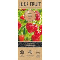 Fragaria Eve's Delight aardbeienplant | 50 cm hoog | In 15 cm hangpot | Doordragende hangaardbei