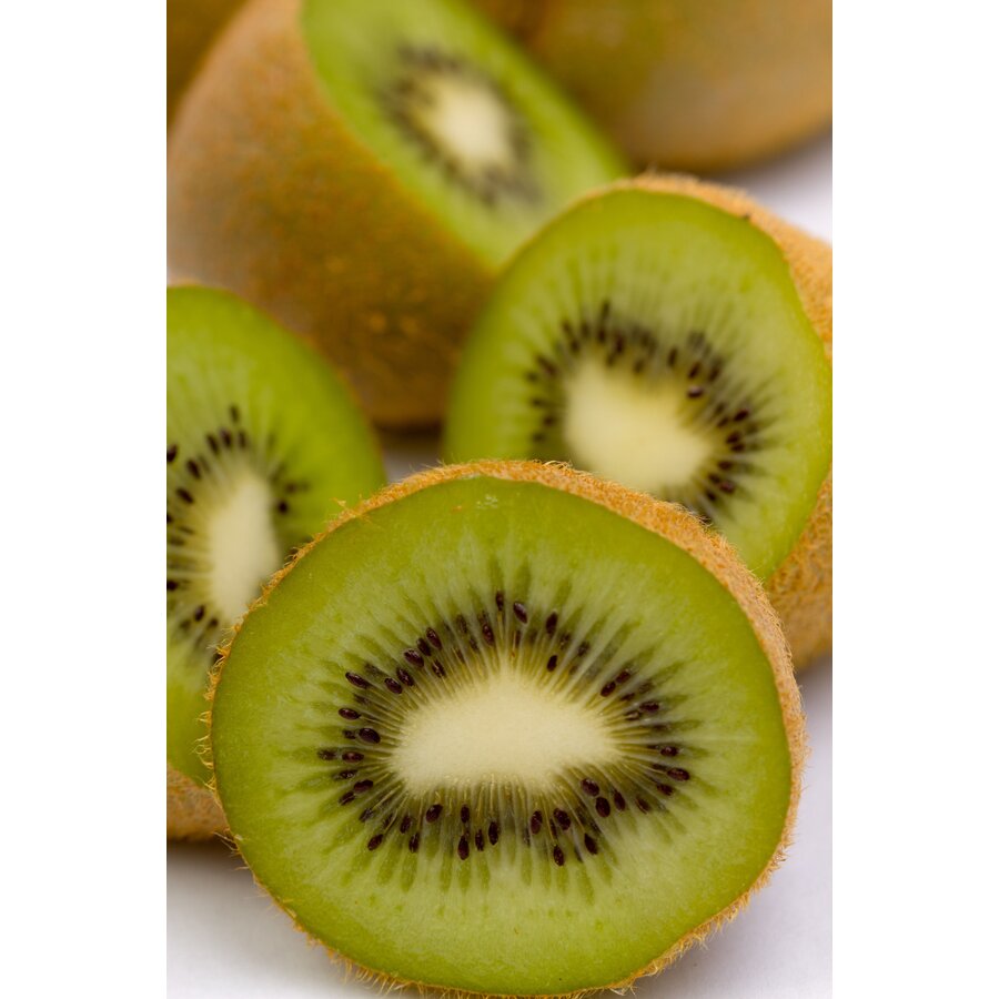 Actinidia deliciosa 'Jenny' (kiwiplant) | Zelfbestuivend | 50 cm hoog | In 15 cm pot