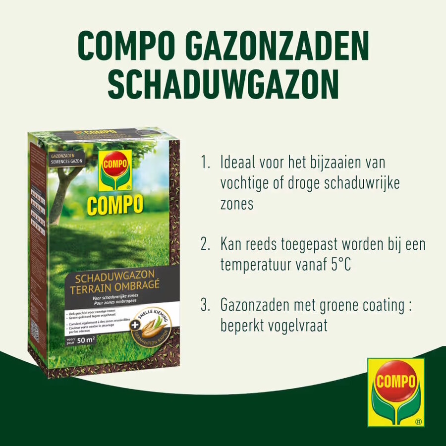 Gazonzaad Schaduwgazon 1 kg | voor 50 m² | snelle kieming | gecoat tegen vogelvraat