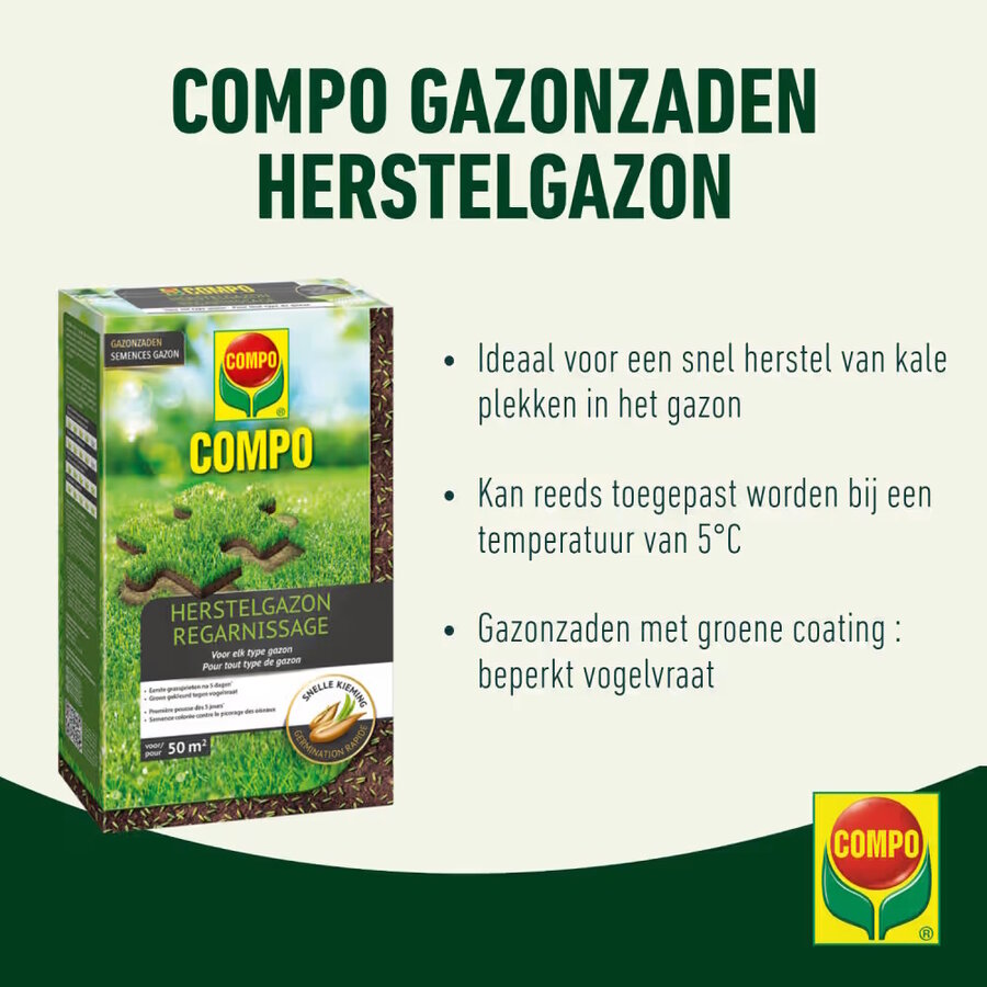 Herstelgazon graszaad | snelle kieming | voor kale plekken en doorzaai