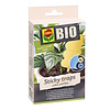 BIO Sticky Traps | insecticidevrije lijmvallen tegen vliegende insecten