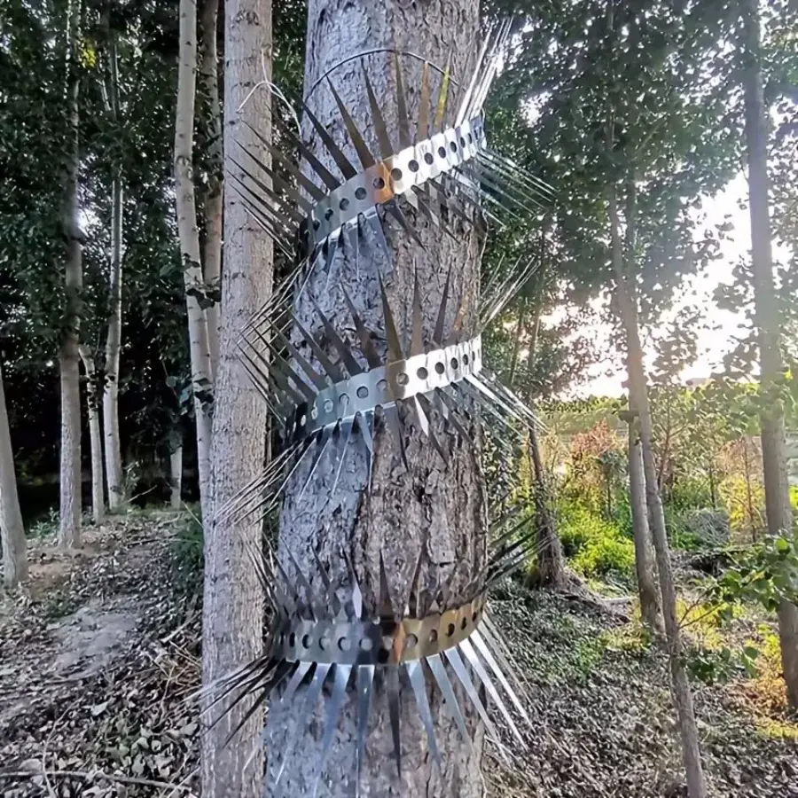Anti-klim spike strip RVS 100 cm | spikes 5 cm voor regenpijp, hekwerk of bomen