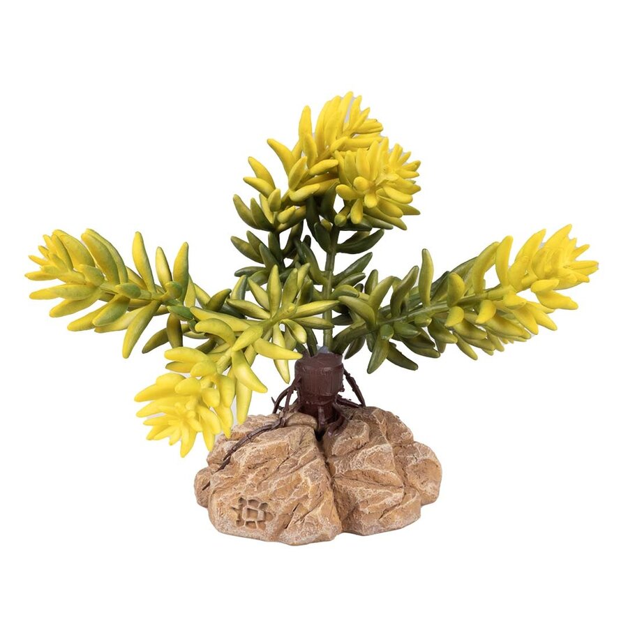 Woestijnplant Sedum morganianum groen | natuurgetrouwe terrarium kunstplant van kunststof