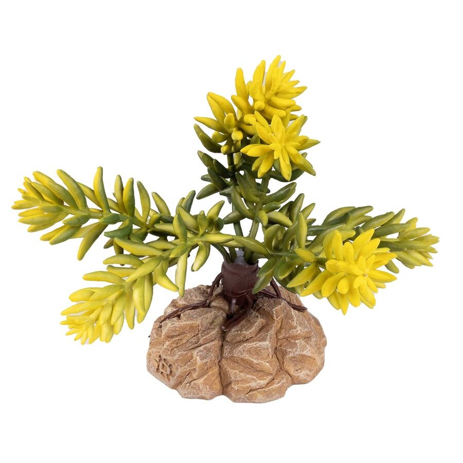 Woestijnplant Sedum morganianum groen | natuurgetrouwe terrarium kunstplant van kunststof