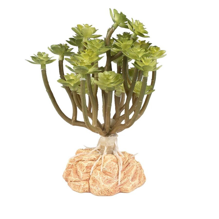Woestijnplant Aeonium groen | terrarium kunstplant met harsvoet | 14 cm