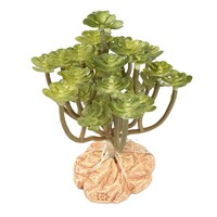 Woestijnplant Aeonium groen | terrarium kunstplant met harsvoet | 14 cm