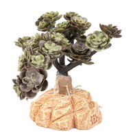 Woestijnplant Sedum spurium groen | 15x11x10 cm | terrarium kunstplant