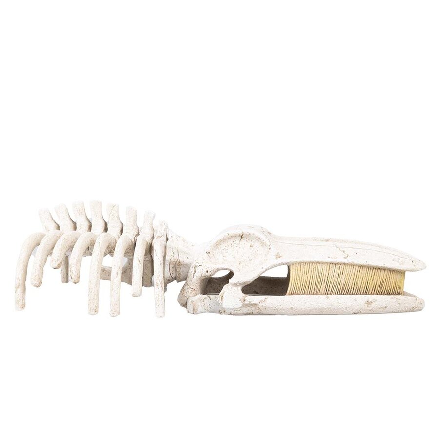 Walvisskelet aquarium ornament beige | natuurgetrouwe schuilplaats | 22 x 11 x 5,5 cm