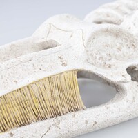Walvisskelet aquarium ornament beige | natuurgetrouwe schuilplaats | 22 x 11 x 5,5 cm