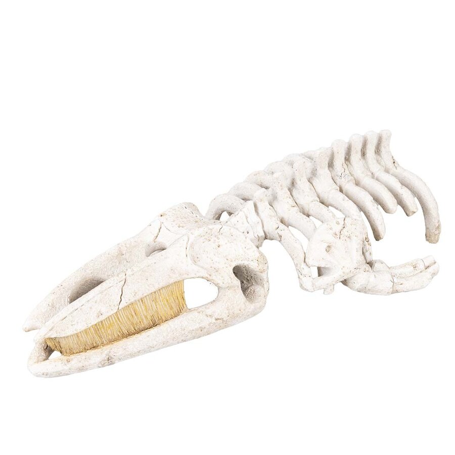 Walvisskelet aquarium ornament beige | natuurgetrouwe schuilplaats | 22 x 11 x 5,5 cm