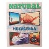 Duivendagboek | hokagenda