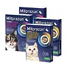 Smakelijke kauw-wormtabletten voor katten