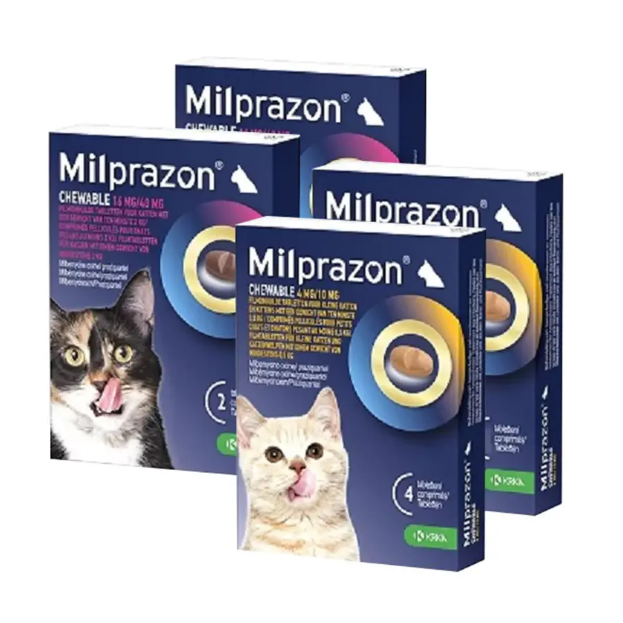 Smakelijke kauw-wormtabletten voor katten | ontworming | 2 tabletten