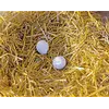 Nesteieren van klei voor kippen | 2 stuks
