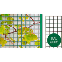 Bologna draadpaneel 5x5 cm | 150 cm breed | groen (RAL 6005) | hoogte 60|80|100 cm