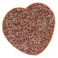 Vijver pellets kleurmix 3 liter | drijvende kleurversterkende pellets 3 mm voor alle vijvervissen