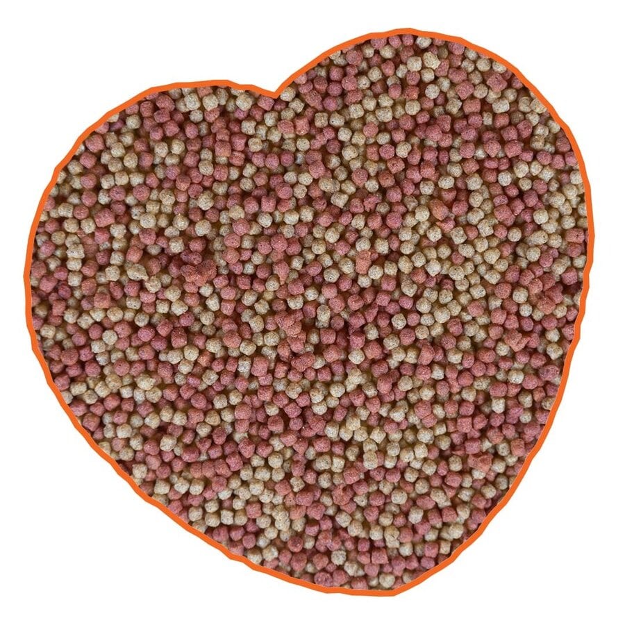 Vijver Pellets Kleurmix 10 liter | drijvende kleurversterkende pellets 6 mm voor vijvervissen