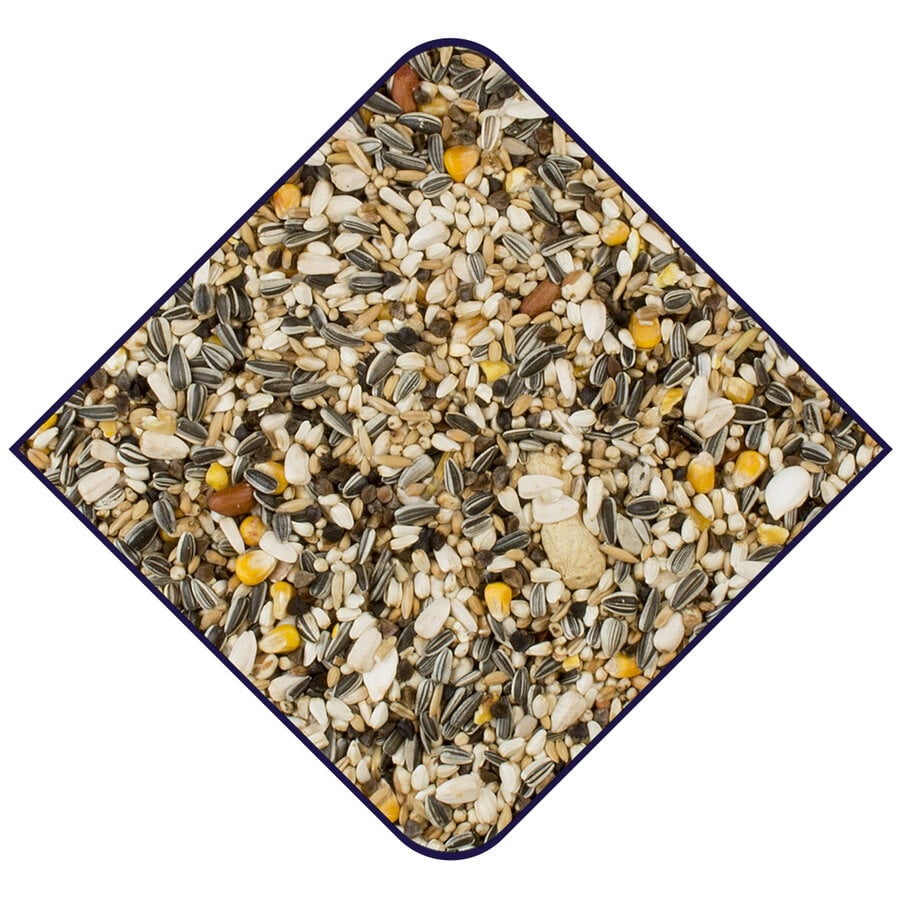 Papegaaien zadenmix met pinda’s | energierijk mengvoer 4 kg