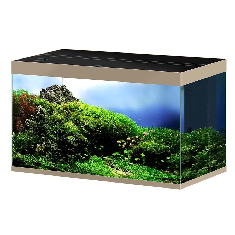 Aquarium Pro 100 Deep 300 liter | 102 x 58 x 61 cm | complete set