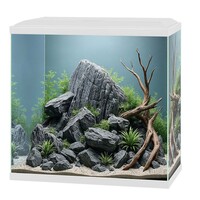 Aquarium Aqua 30 | 40 x 20 x 45,5 cm | ca. 25–27 liter | compleet met LED en binnenfilter