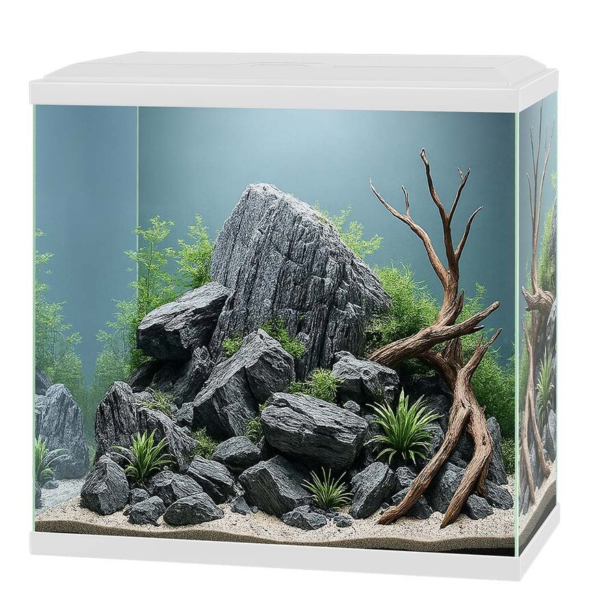 Aquarium Aqua 30 | 40 x 20 x 45,5 cm | ca. 25–27 liter | compleet met LED en binnenfilter