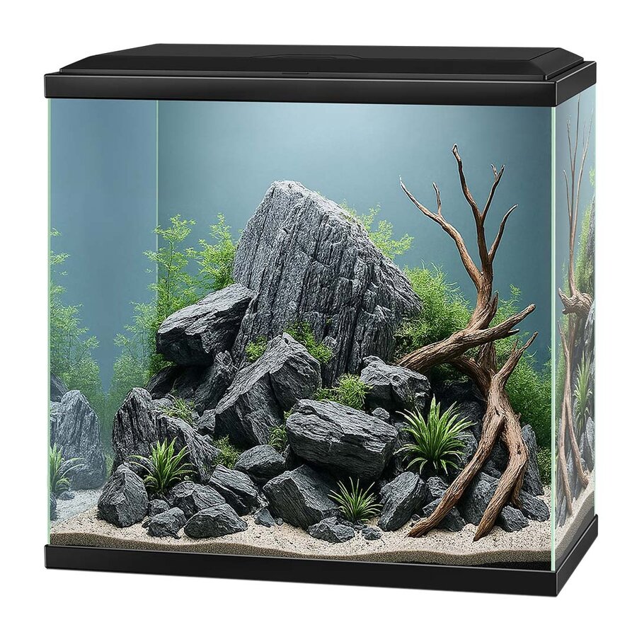 Aquarium Aqua 30 | 40 x 20 x 45,5 cm | ca. 25–27 liter | compleet met LED en binnenfilter
