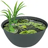 Medaka bowl 600 | mini vijverkom 36 liter
