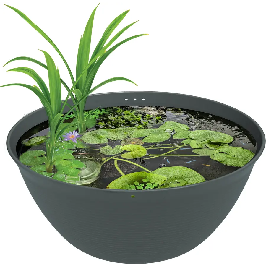 Medaka bowl 600 | Japanse mini vijverkom 36 liter | Ø60 x H25 cm | voor Medaka en waterplanten
