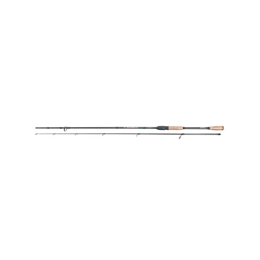 Cassius spinhengel 210–240 cm | werpgewicht 20–80 g | voor kunstaas op snoek en snoekbaars