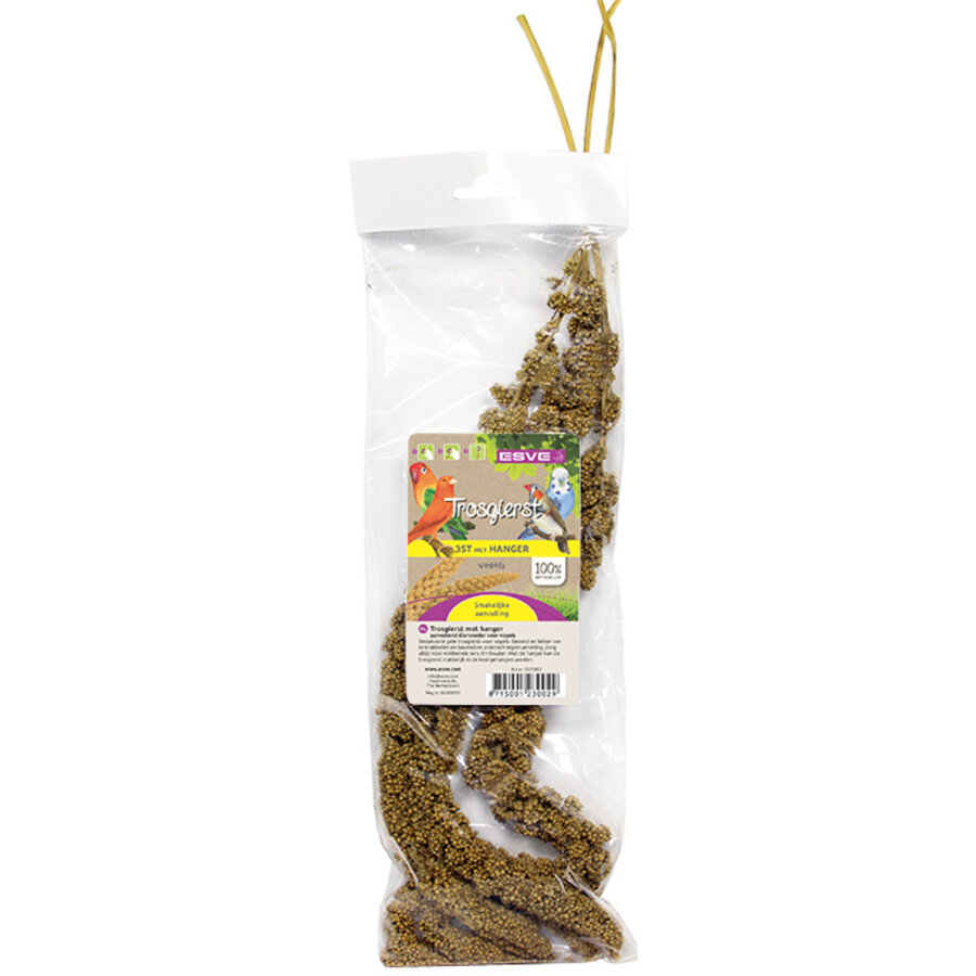 Trosgierst geel | 3 stuks + 1 hanger | snack en foerageerplezier voor vogels