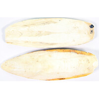 Sepiaschalen voor vogels | natuurlijke calciumbron | 4-6 inch, 6-8 inch, 9-10 inch, 10-12 inch