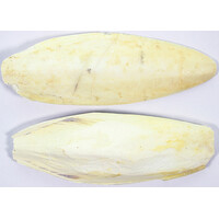 Sepiaschalen voor vogels | natuurlijke calciumbron | 4-6 inch, 6-8 inch, 9-10 inch, 10-12 inch