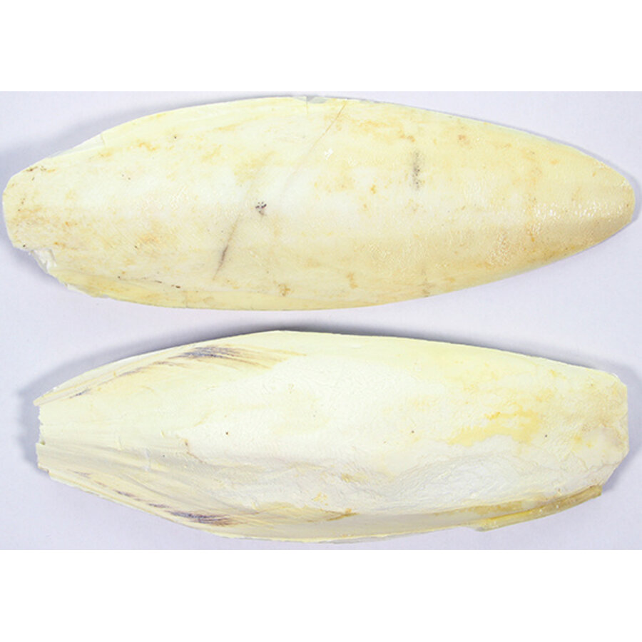 Sepiaschalen voor vogels | natuurlijke calciumbron | 4-6 inch, 6-8 inch, 9-10 inch, 10-12 inch