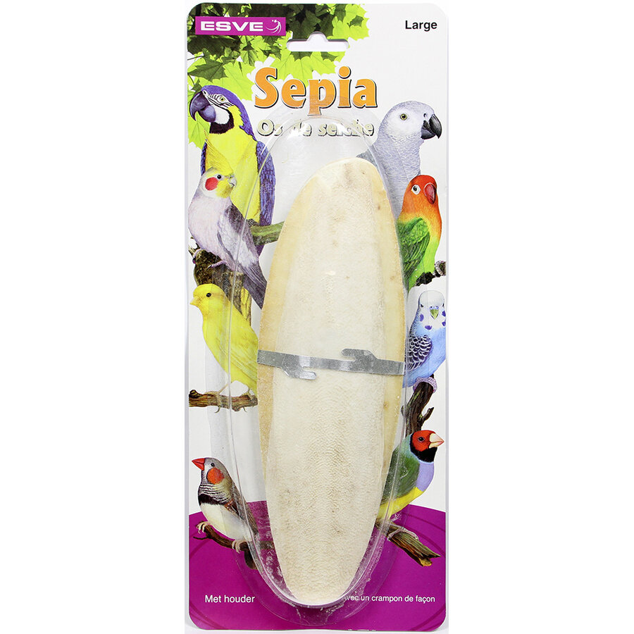 Sepiaschelp op kaart voor vogels | met houder | maat S | M | L