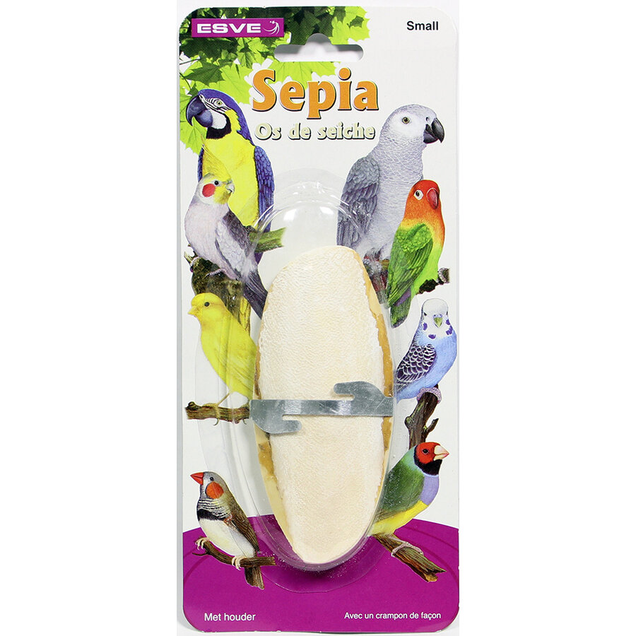 Sepiaschelp op kaart voor vogels | met houder | maat S | M | L