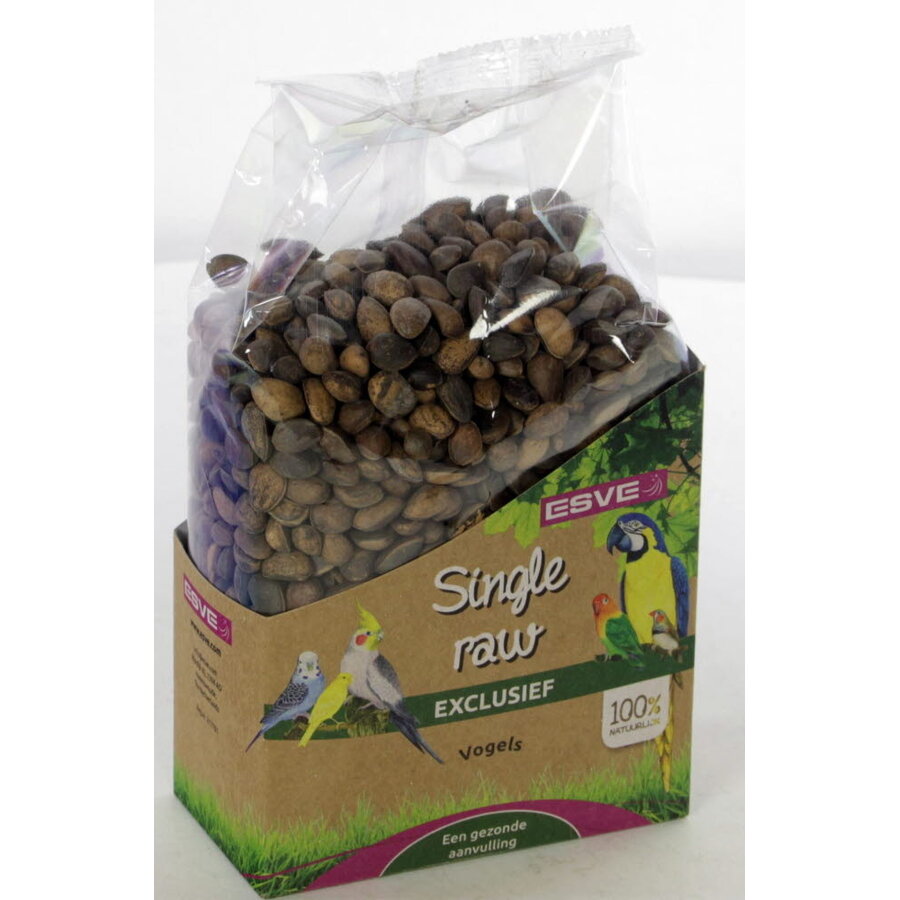 Cedernoten rauw | 530 g | snack voor papegaaien en grote parkieten