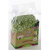 Spliterwten 700 g