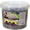 Gestreepte zonnepitten emmer 2 kg
