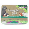 Knaagdiergras | vers gras kweken voor konijnen en knaagdieren