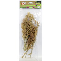 Corn Grass maisgras foerageerbundel | 1 stuk | voor knaagdieren en vogels