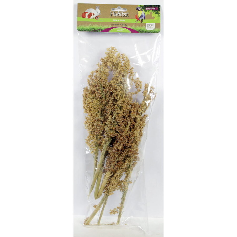 Corn Grass maisgras foerageerbundel | 1 stuk | voor knaagdieren en vogels