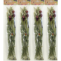 Pet bouquet weidegewas 100 g | natuurlijke knaagmix van granen, grassen en kruiden