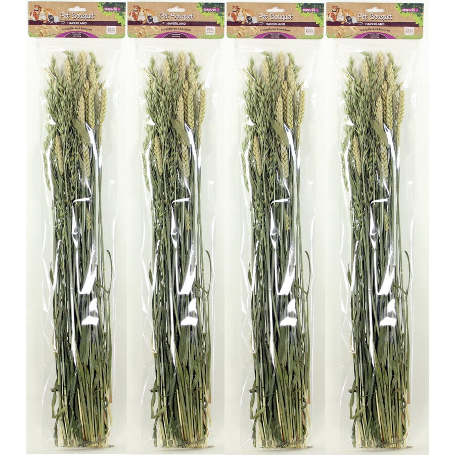 Pet Bouquet Haverland | gedroogde haver bos 100 g
