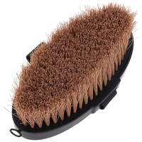 Harde poetsborstel de luxe voor paardenvacht met nylon band