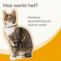 Medicinale halsband voor katten 38 cm tegen vlooien en teken