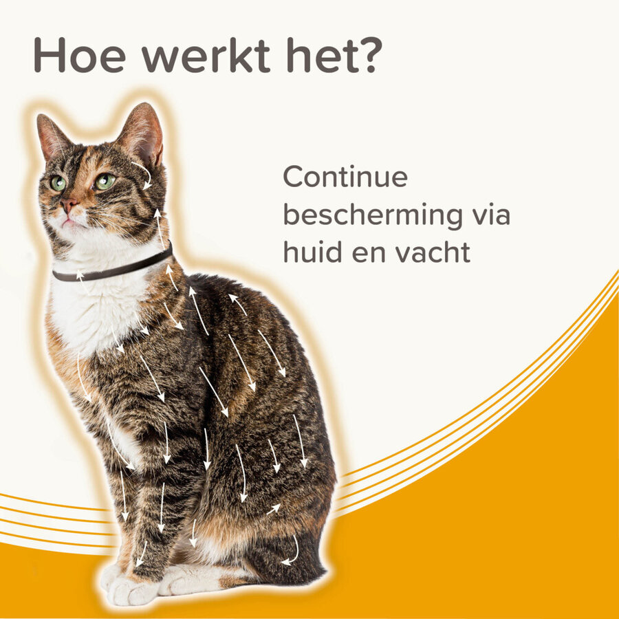 Medicinale halsband voor katten 38 cm tegen vlooien en teken