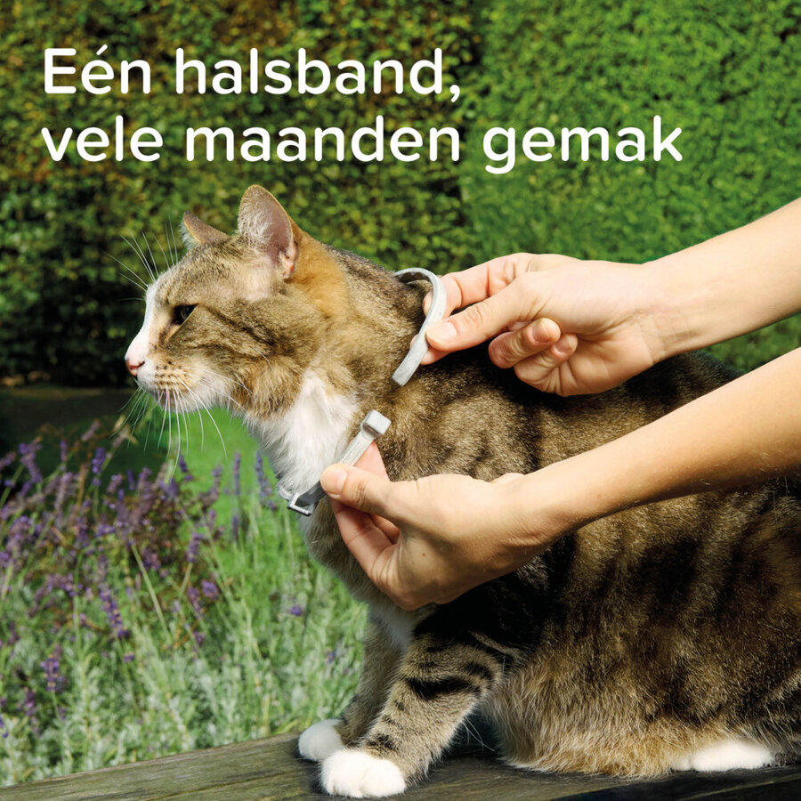 Medicinale halsband voor katten 38 cm tegen vlooien en teken