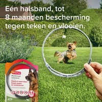 Medicinale halsband hond vanaf 8 kg 70 cm tegen vlooien teken en zandvliegen
