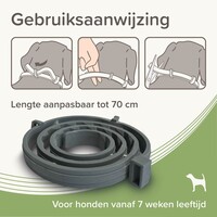 Medicinale halsband hond vanaf 8 kg 70 cm tegen vlooien teken en zandvliegen
